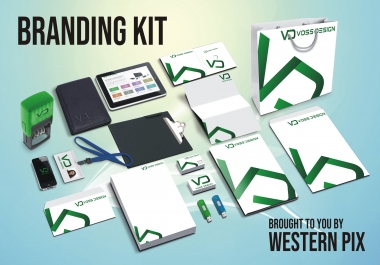 I will design your Professional Branding Kit