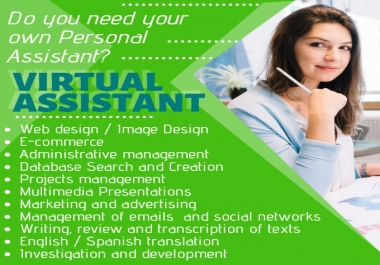 I be your virtual executive assistant for any task