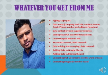 I will do data entry,  convert PDF to word,  data collection,  copy paste
