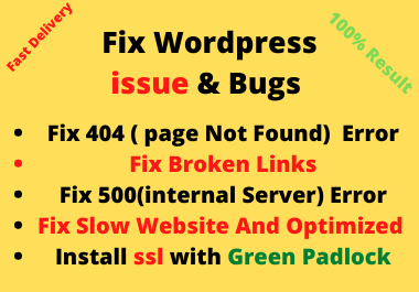 I will fix WordPress Error, Fix 404 Page Not Error FIx 500 internal Server Error Fix Broken Links