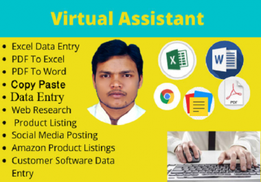 I will do data entry,  file conversion and copy paste work for you