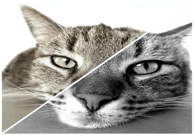 I will color in 10 photos professionally and in only 2 hours