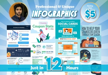 I will create professional unique infographic design in 24 hours