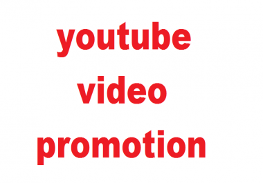 I will do youtube video promotion
