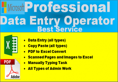I will do excel,  Word data entry,  data entry,  copy paste,  virtual assist
