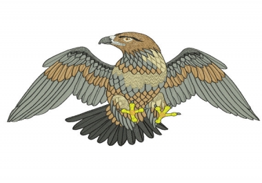 I will do awesome embroidery digitizing in 48 hours