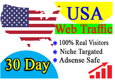 I will bring USA targeted daily visitors to your web site 30 days