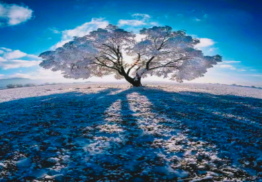 I am best photographer I make High quality photos,  images etc.