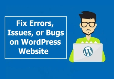 I will fix errors,  issues,  or bugs on wordpress website