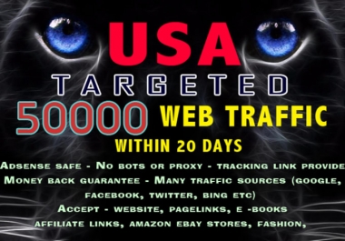 i will drive 50000+ visitors to your website within 20days