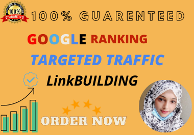 I will do professional link building SEO for your website