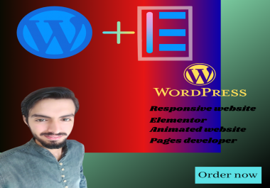 I will design wordpress responsive website,  design,  plgins & page developer