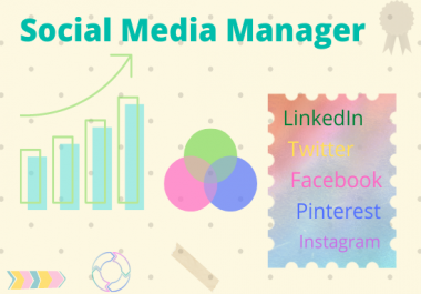 I will be 1 post per day for 30 days your social media marketing manager for social network.