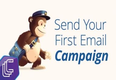 I will setup your email marketing campaign