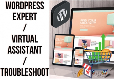 I will be a wordpress expert,  virtual assistant or troubleshoot wordpress website