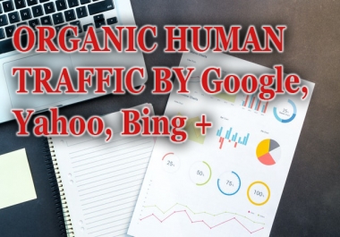1000 Real Organic Human Traffic by Google,  Yahoo,  Bing +