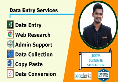 I will do perfect data entry,  copy paste and web research