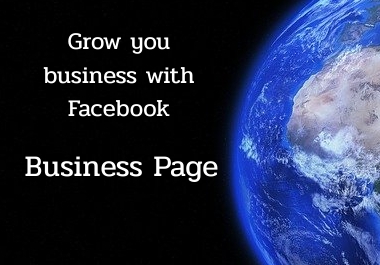 I will create professional Facebook business page.