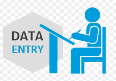 Data Entry Expert Streamlining Information Management with Precision and Efficiency