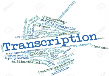 high quality video and audio transcription