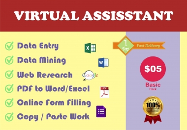 Virtual Assisstant - I will do Data Entry work