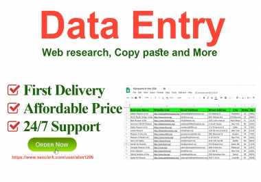 I will do perfect data entry,  web research,  copy paste and excel entry.