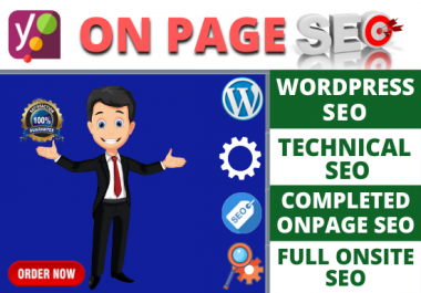 I will do professional onpage SEO and ranking wordpress website