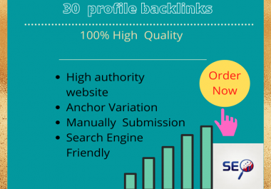 I Will create 30 High Quality profile Backlinks For your website permanently