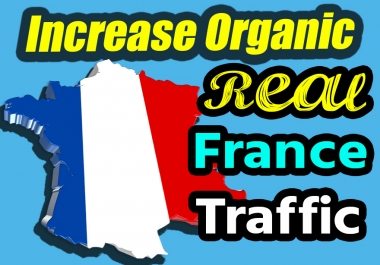 Organic France 1000 real traffic for your website