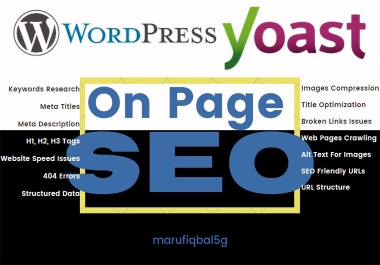 I'll make SEO page with yoast plugin to your wordpress website.