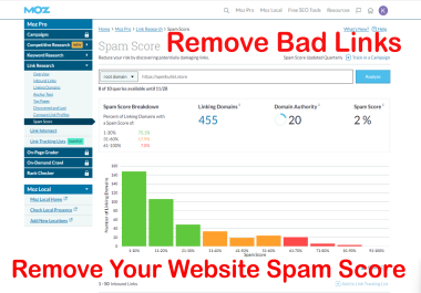 I will disavow bad backlinks and remove your website spam score