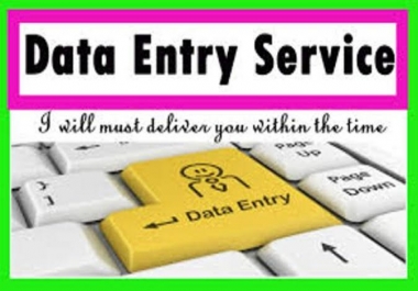 I will do data entry and copy paste work for you