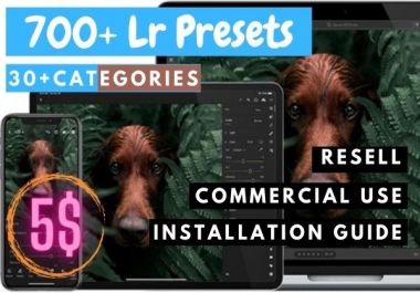 I will give you 700+ Lightroom preset pack in 30+ categories