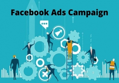 I will create your facebook ads campaign