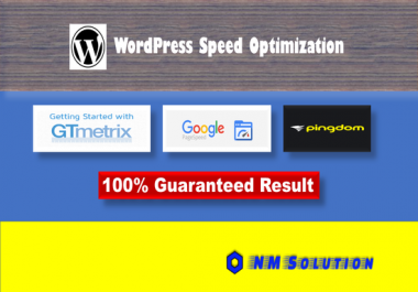 I will do wordpress speed optimization gtmetrix google page speed