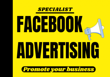 I will do your Facebook ads campaign Manager
