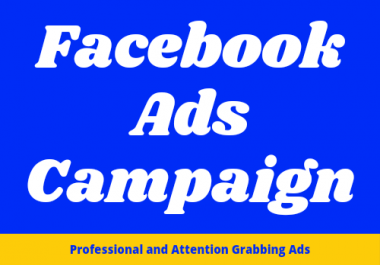 I will be your Facebook ads campaign-