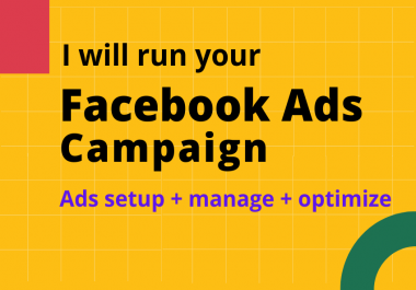 I'll run your Facebook ads campaign.