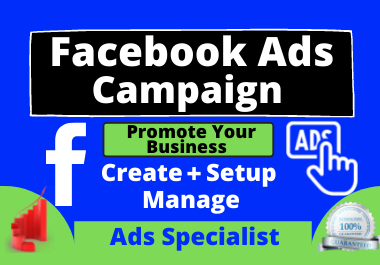 I will create your Facebook ads campaign to promote your business