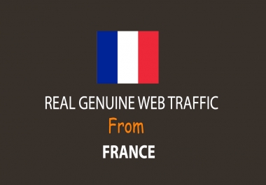 Get UNLIMITED targeted organic web traffic for 30 days from France
