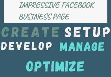 I will create,  develop and provide an impressive facebook Business page and fb shop