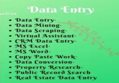 I will do data entry,  copy paste job