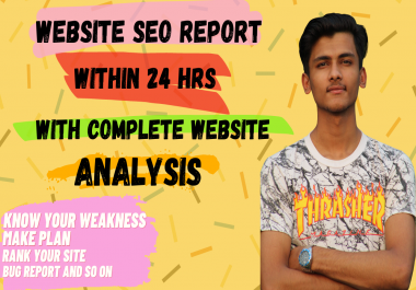 I will provide an expert and professional website SEO audit report