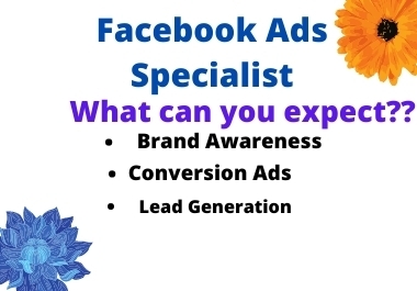 I will set up a Facebook ads campaign and put your ads on top of everyone.