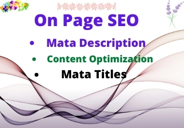 I will do complete WordPress on-page SEO optimization.