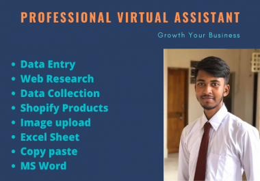 I Will Do Data Entry,  Copy Paste,  And Web Research