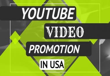 provide organic usa youtube video promotion