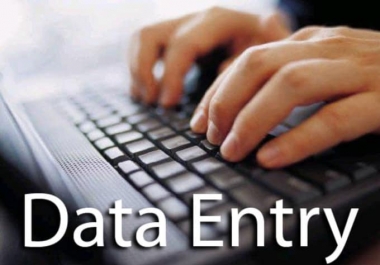 I will Do Excel Data Entry Professionally for you