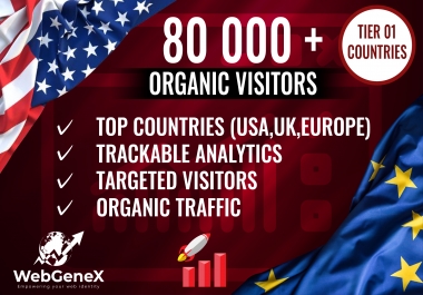 i will drive you unlimited website traffic for your site or blog for 29 days