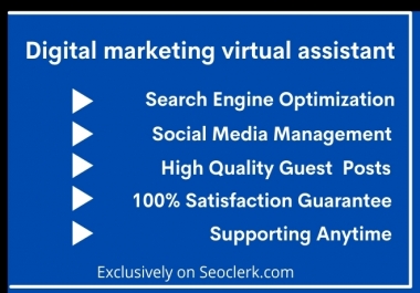 I will be a personal virtual assistant to support digital marketing,  social media,  Dta Entry